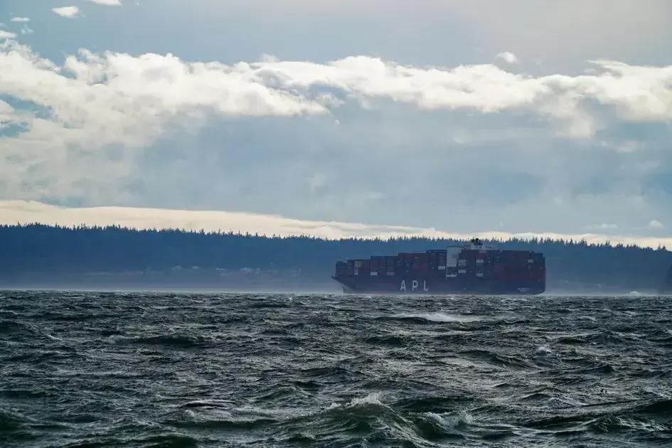 Marine Cargo Insurance: Safeguarding Goods in Transit by Sea