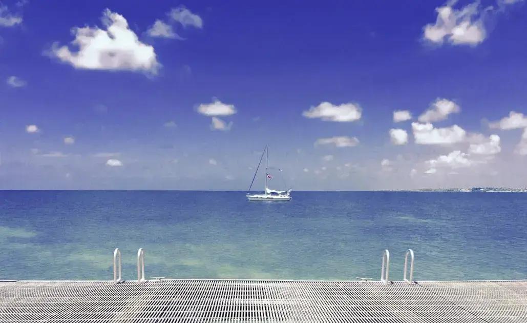 When upgrading your Corolla trim can cut premiums